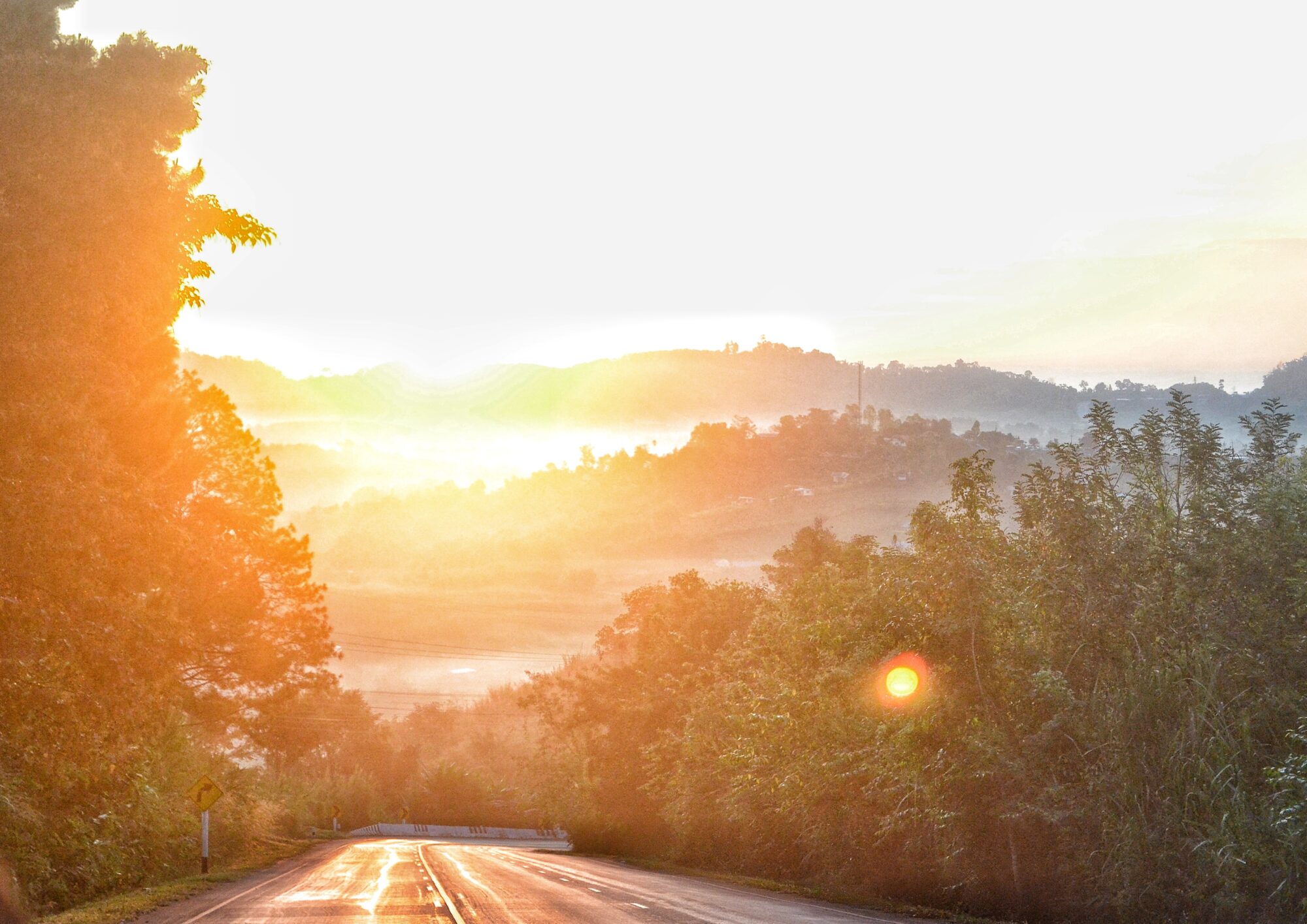 A winding road bathed in golden morning light, surrounded by trees and vegetation on both sides. In the background, rolling hills and scattered houses emerge through a soft mist, creating a calm and peaceful atmosphere